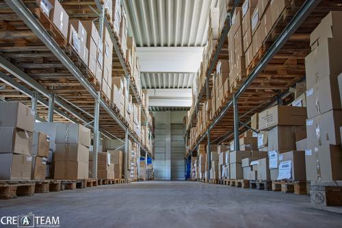 elasto-gelaende22116-Kopie